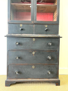 An Early 19th Century Tall but Narrow Ebonized English Bookcase