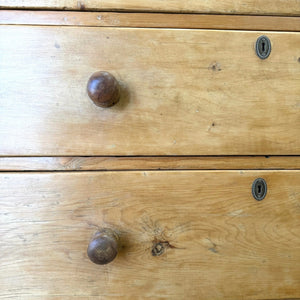 A 19th Century English Pine Chest of Drawers/Dresser with Tulip Feet