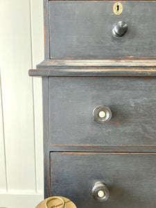 An Early 19th Century Tall but Narrow Ebonized English Bookcase