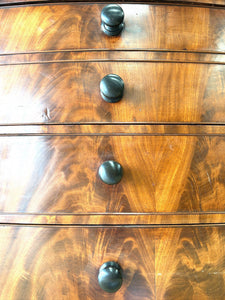 A Large Antique English Bow Front Mahogany Chest of Drawers