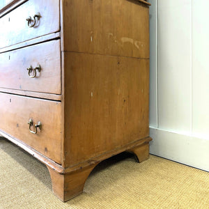 A 19th Century English Pine Linen Press Cupboard with Brass Hardware