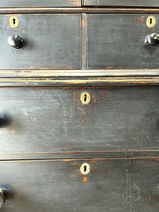 An Early 19th Century Tall but Narrow Ebonized English Bookcase