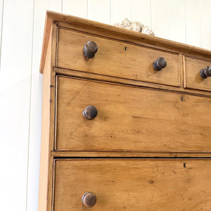 A Large 19th Century English Pine Chest of Drawers/Dresser with Tulip Feet