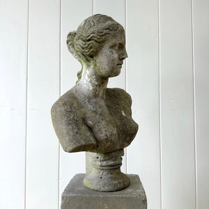 An English Garden Bust