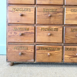 A 19th Century English Bank of Seed Drawers