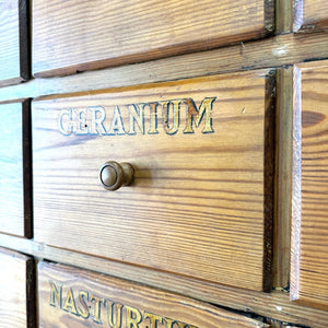 A 19th Century English Bank of Seed Drawers