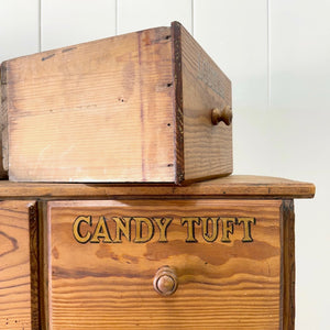 A 19th Century English Bank of Seed Drawers