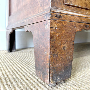 A Large Early 19th Century English Oak Linen Press Housekeepers Cupboard