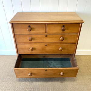 A 19th Century English Chestnut Chest of Drawers/Dresser with Tulip Feet