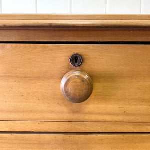 A 19th Century English Chestnut Chest of Drawers/Dresser with Tulip Feet