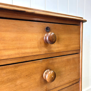 A 19th Century English Chestnut Chest of Drawers/Dresser with Tulip Feet