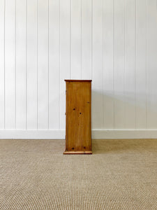 An English 19th Century Pine Cupboard