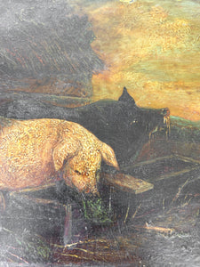 19th Century Pig Painting Oil on Board