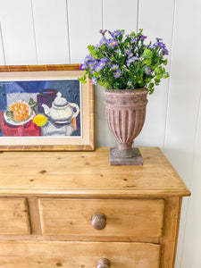 A Large English Pine Chest of Drawers Dresser with Wooden Knobs on Tulip Feet c1890